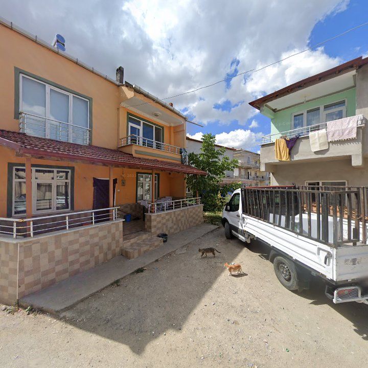 Fotoğraf 6