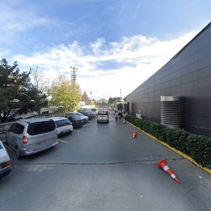 Fotoğraf 12