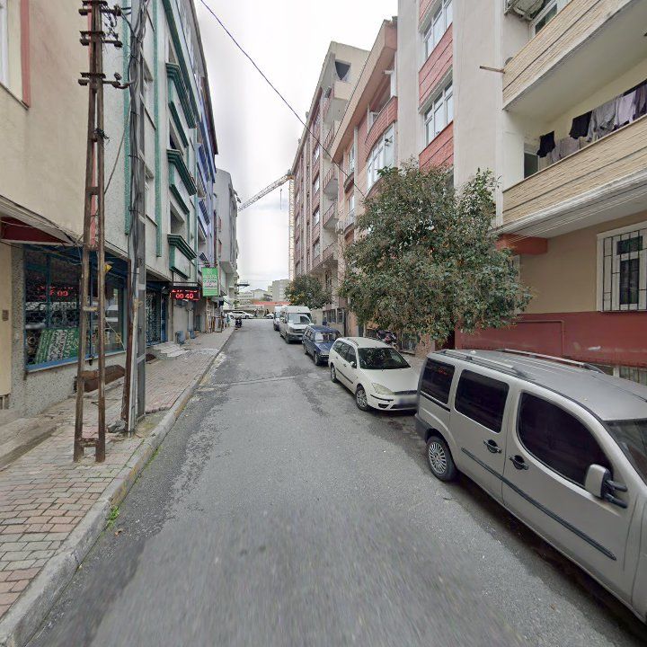 Fotoğraf 11