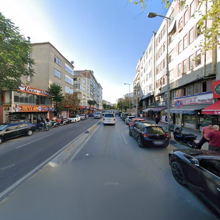 Fotoğraf 9
