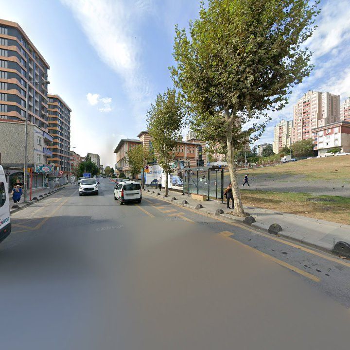 Fotoğraf 11