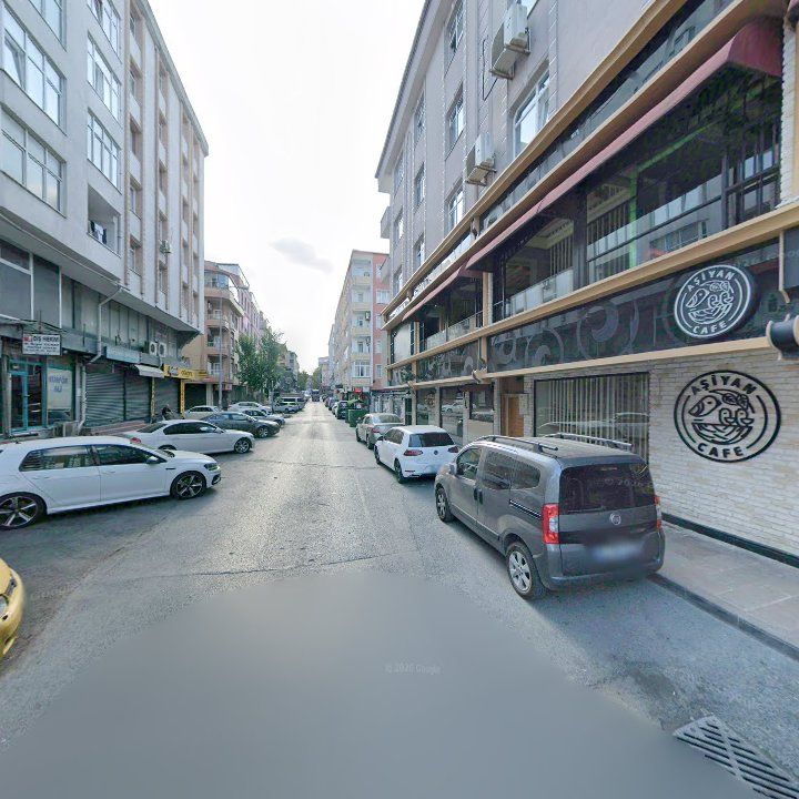 Fotoğraf 12