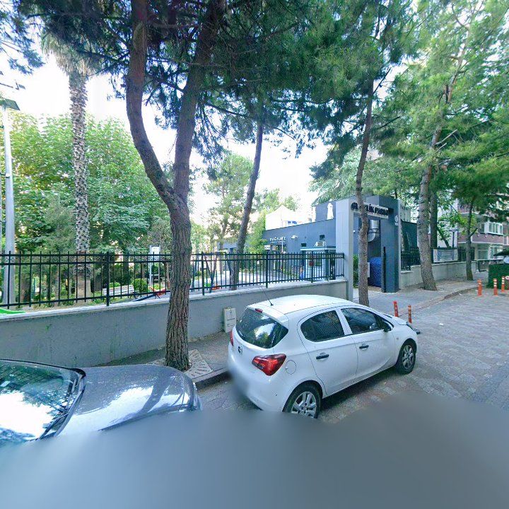 Fotoğraf 9