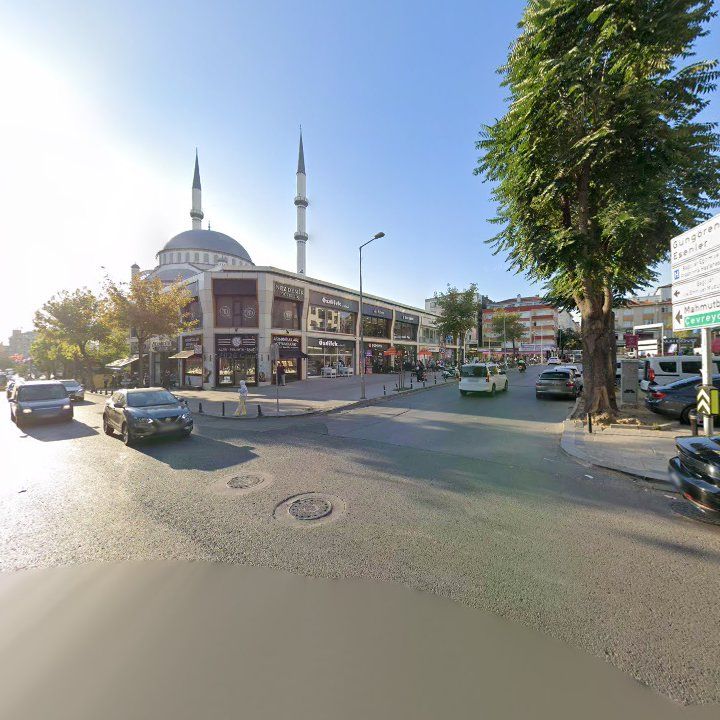Fotoğraf 15