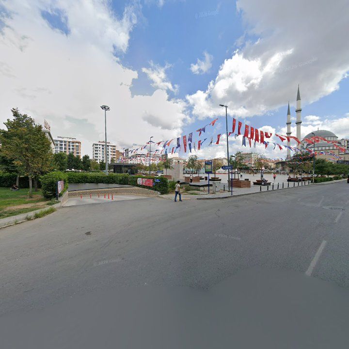 Fotoğraf 13