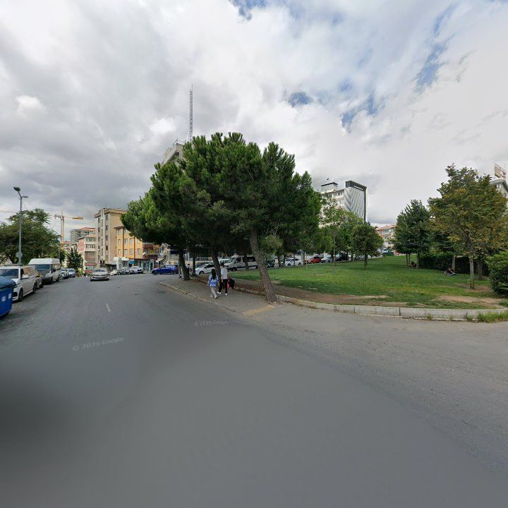Fotoğraf 12