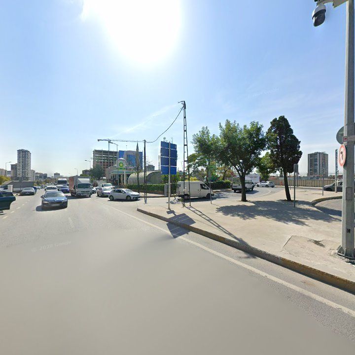 Fotoğraf 12