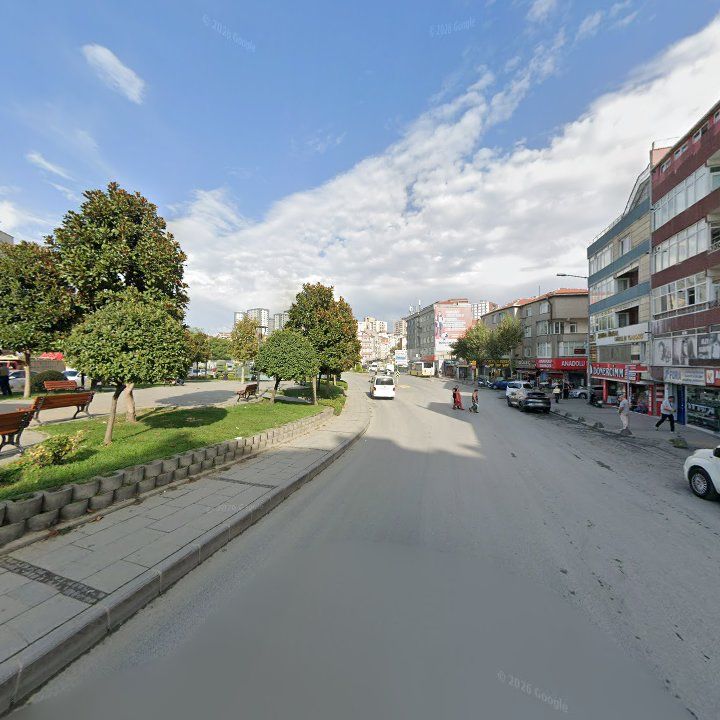 Fotoğraf 7
