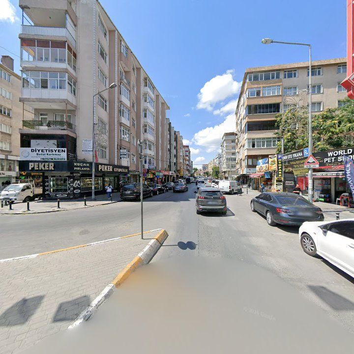 Fotoğraf 10