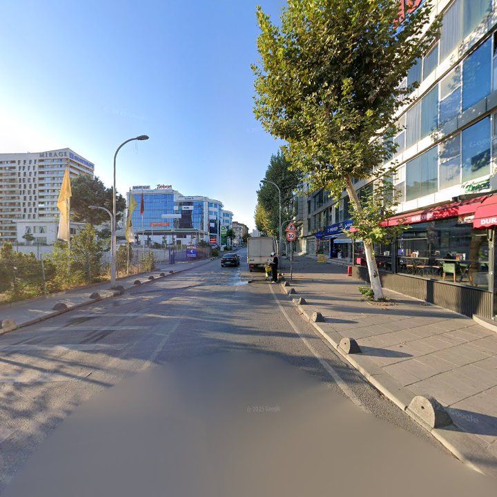 Fotoğraf 12