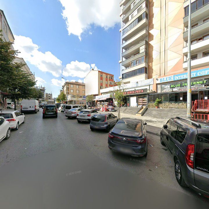 Fotoğraf 11
