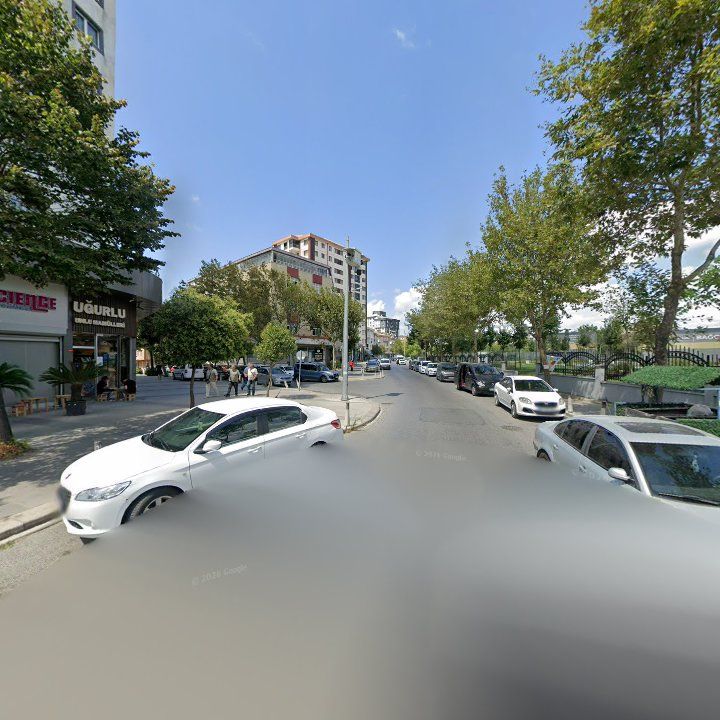 Fotoğraf 6