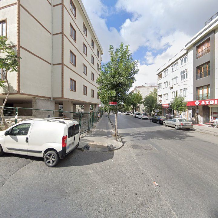 Fotoğraf 8