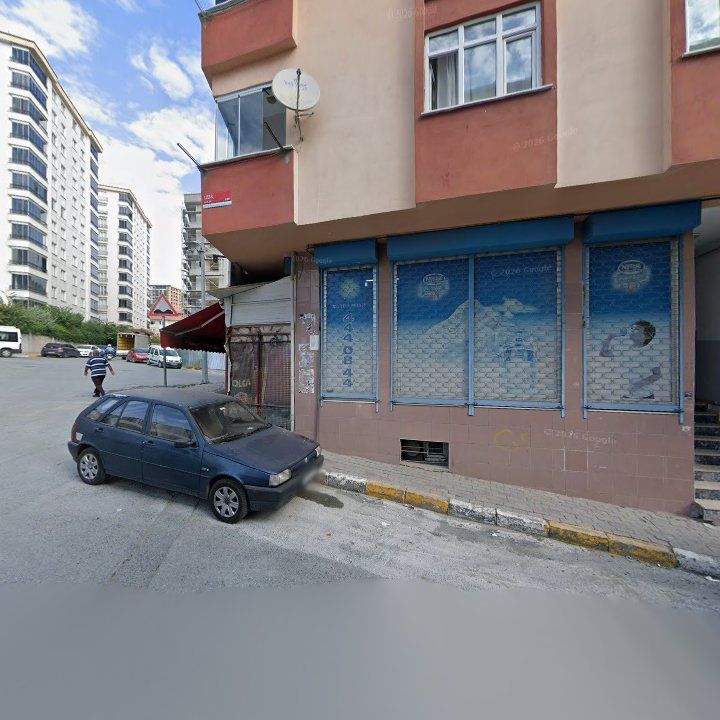Fotoğraf 6