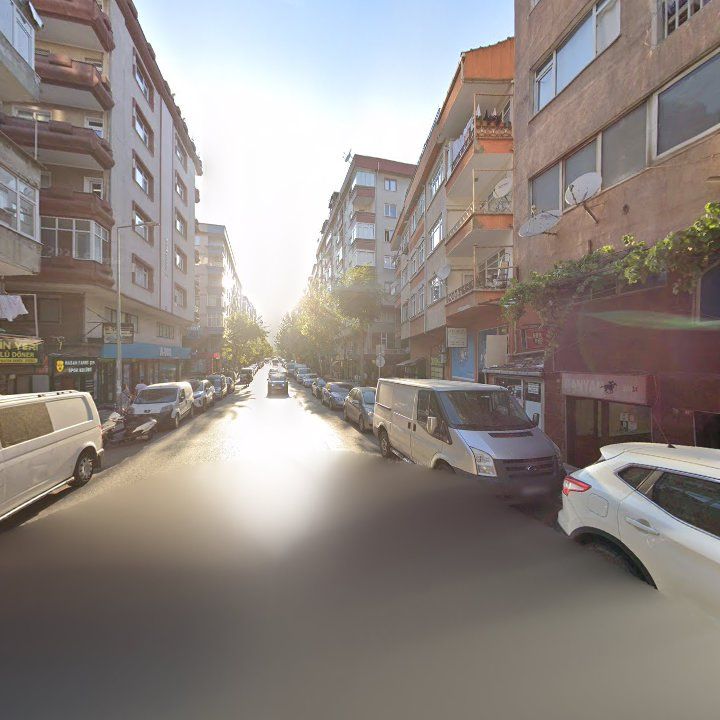 Fotoğraf 11