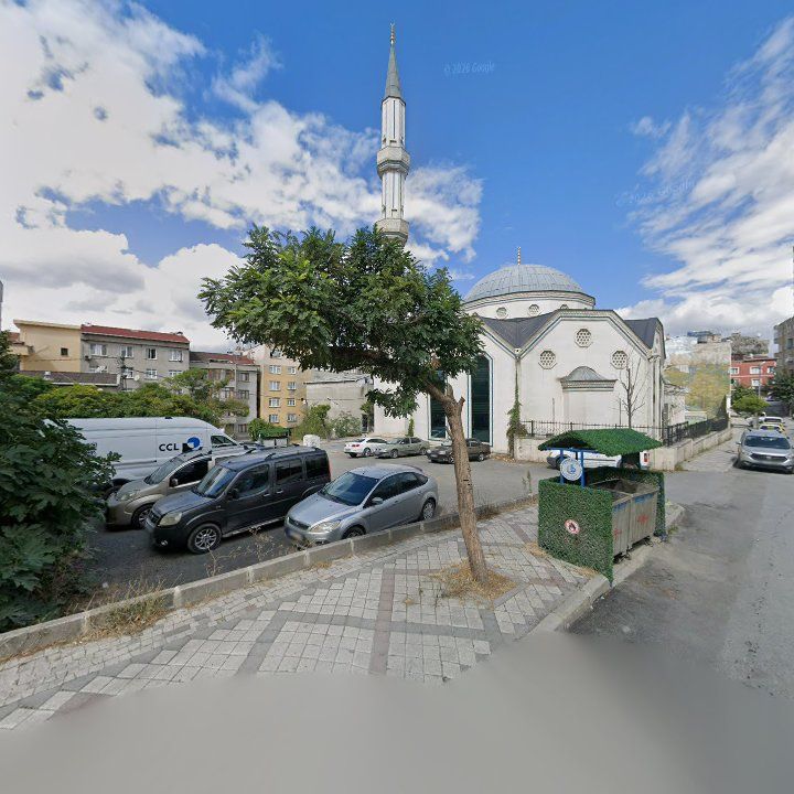 Fotoğraf 10