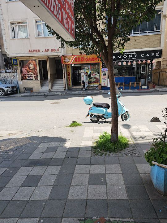 Fotoğraf 6