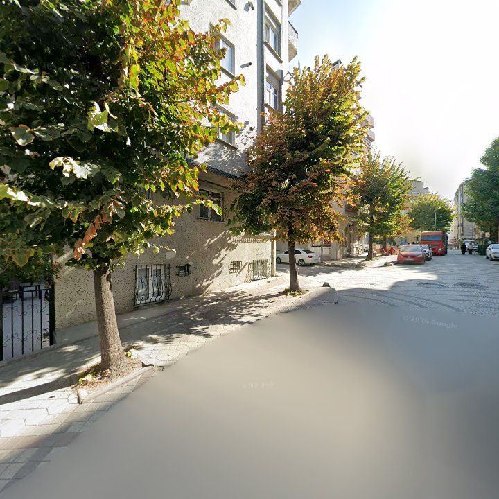 Fotoğraf 11