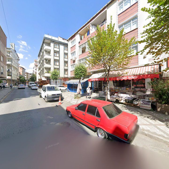 Fotoğraf 12