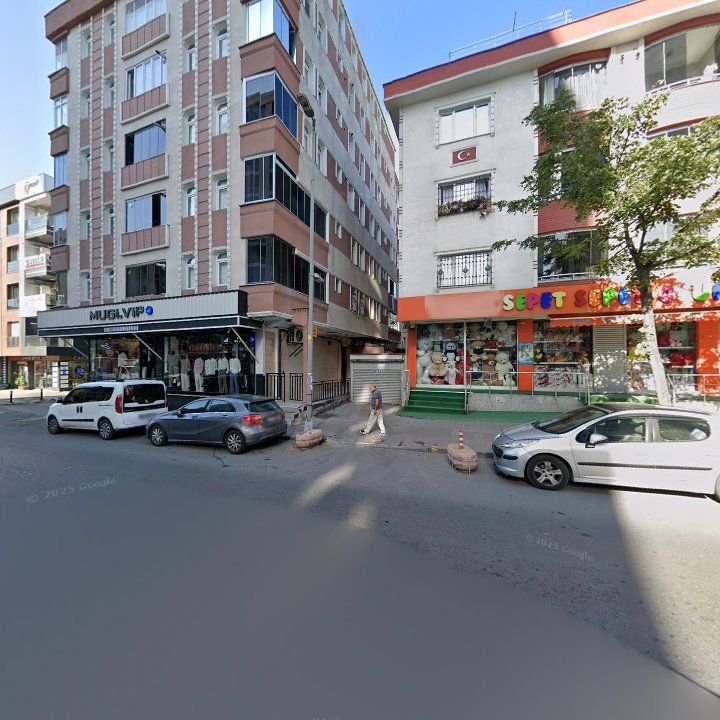 Fotoğraf 12