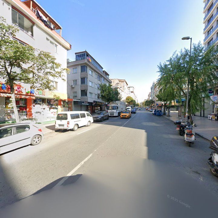 Fotoğraf 13
