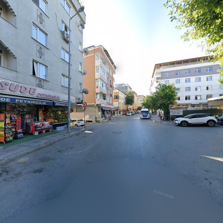Fotoğraf 13