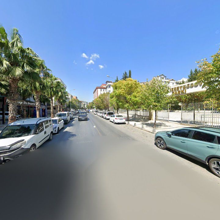 Fotoğraf 9