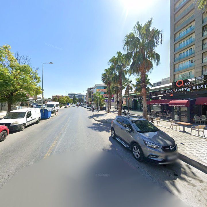 Fotoğraf 11