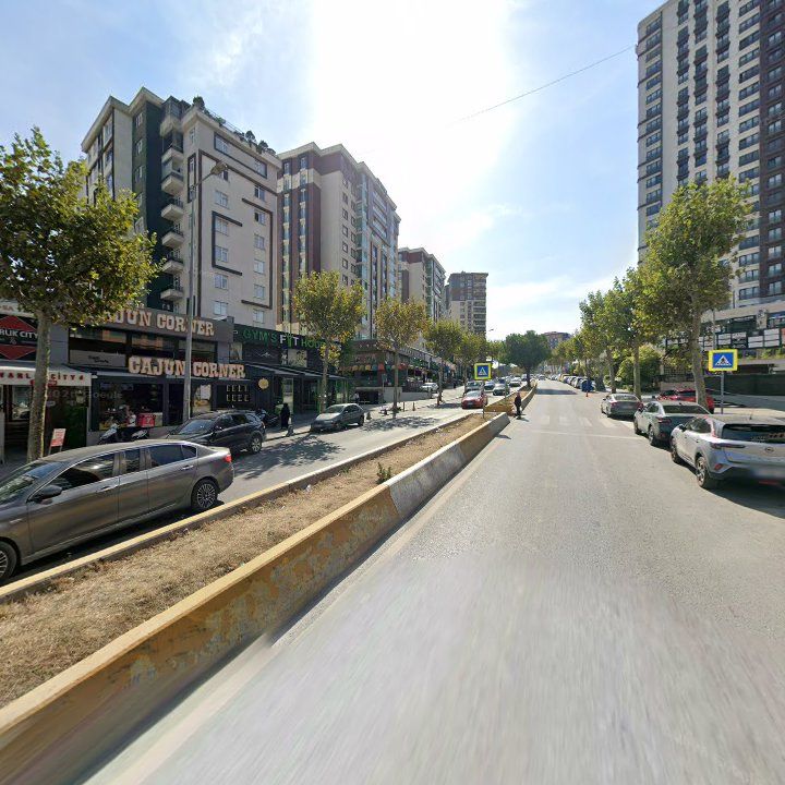 Fotoğraf 11