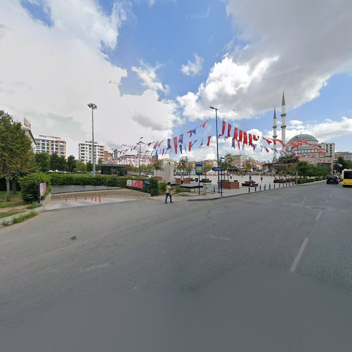 Fotoğraf 9