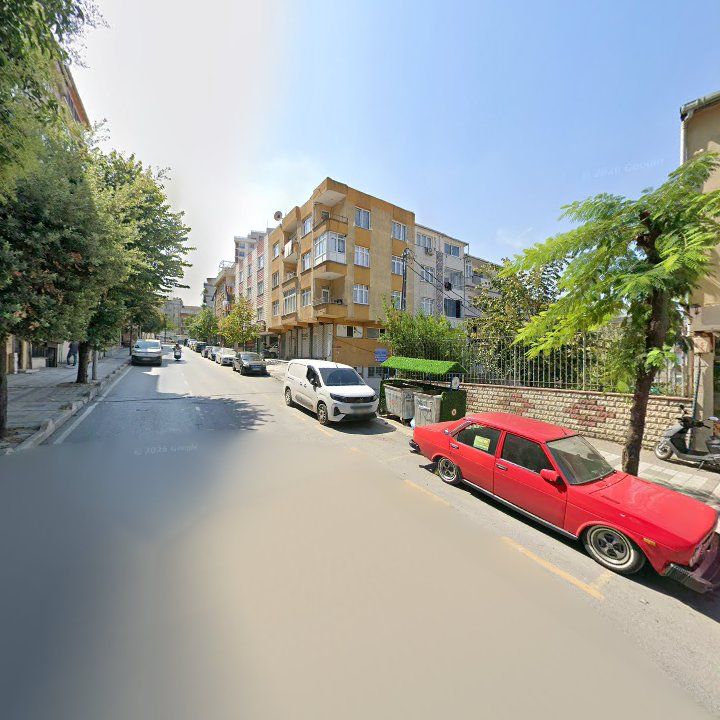Fotoğraf 10