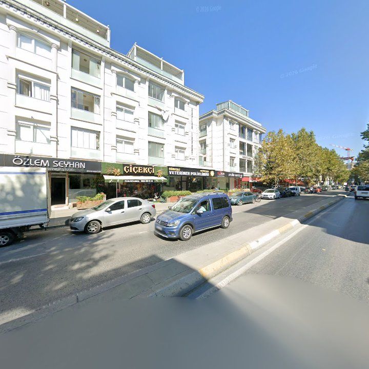 Fotoğraf 10
