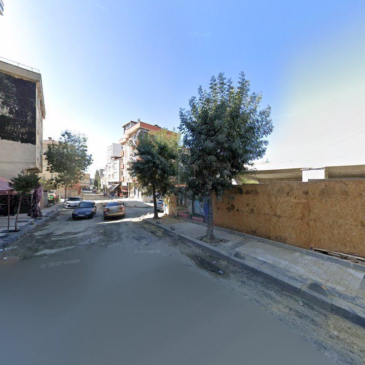Fotoğraf 9