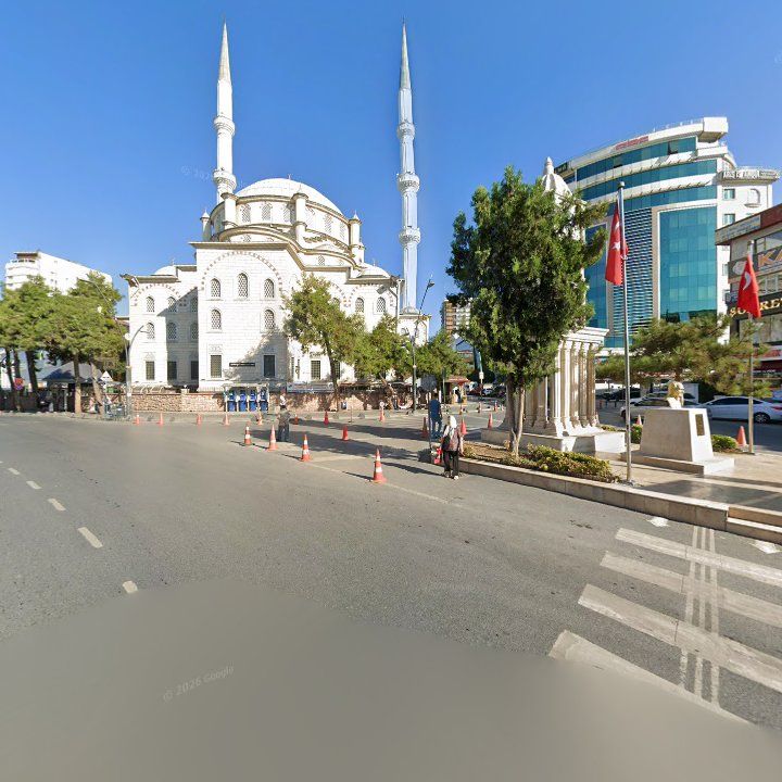 Fotoğraf 7
