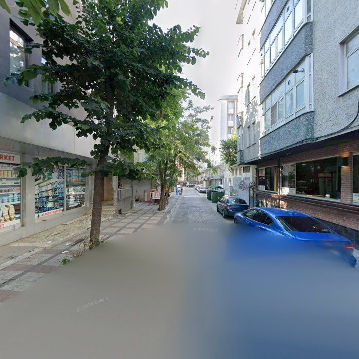Fotoğraf 13