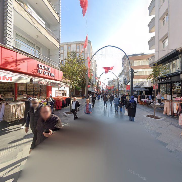 Fotoğraf 12