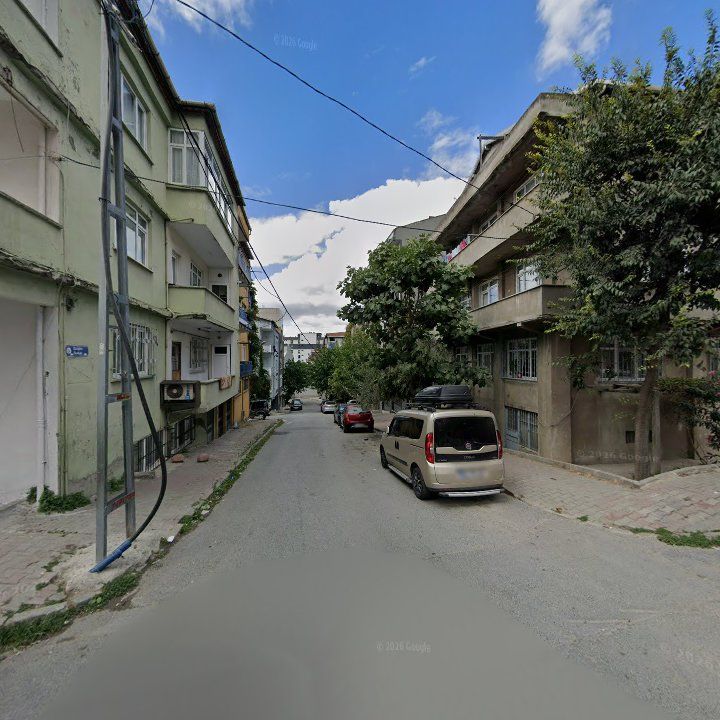 Fotoğraf 6