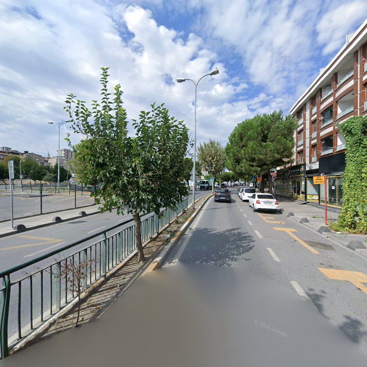 Fotoğraf 14