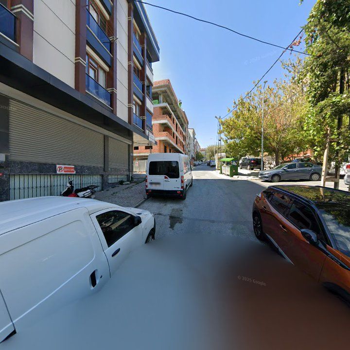 Fotoğraf 10