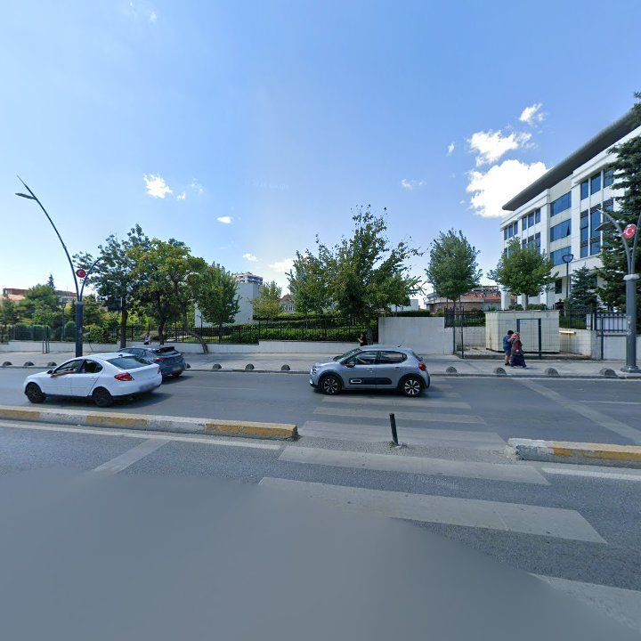 Fotoğraf 12