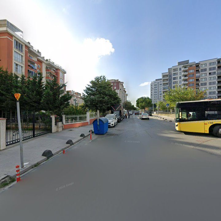 Fotoğraf 8