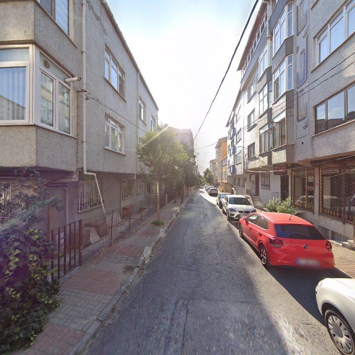 Fotoğraf 15