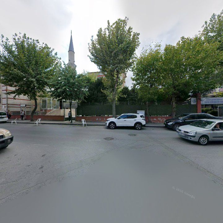 Fotoğraf 6