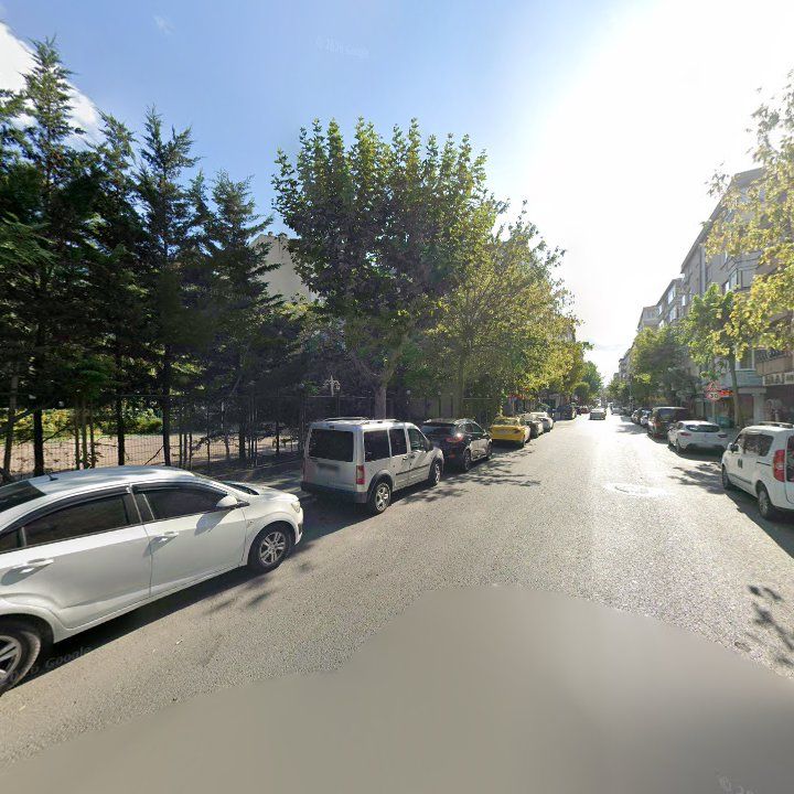 Fotoğraf 12