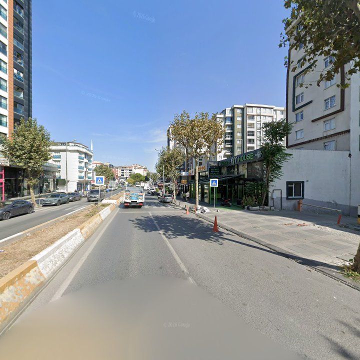 Fotoğraf 10