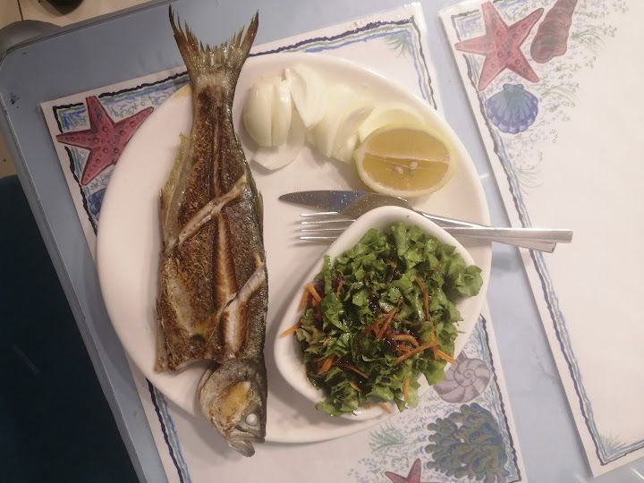 Fotoğraf 24
