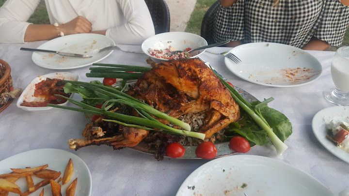 Fotoğraf 14