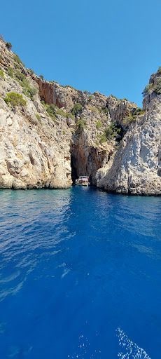 Fotoğraf 20