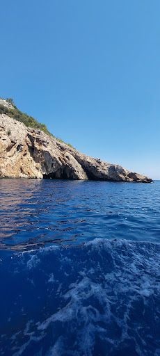 Fotoğraf 23