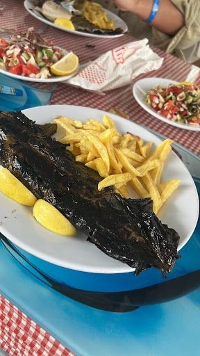 Fotoğraf 16